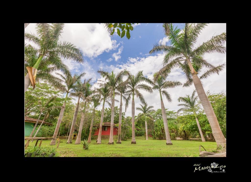 Hotel Mauna Loa Pinilla Exterior photo