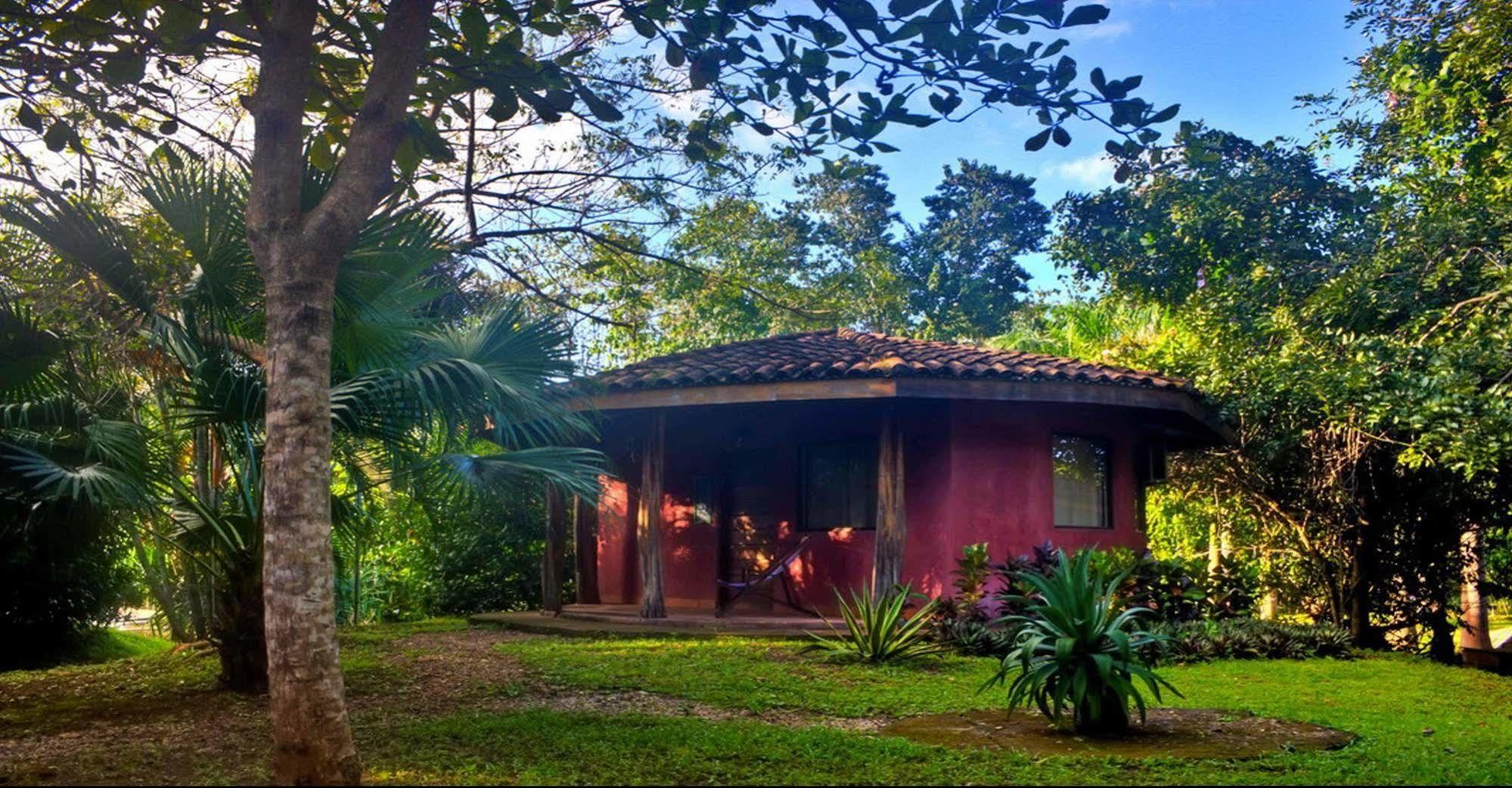 Hotel Mauna Loa Pinilla Exterior photo
