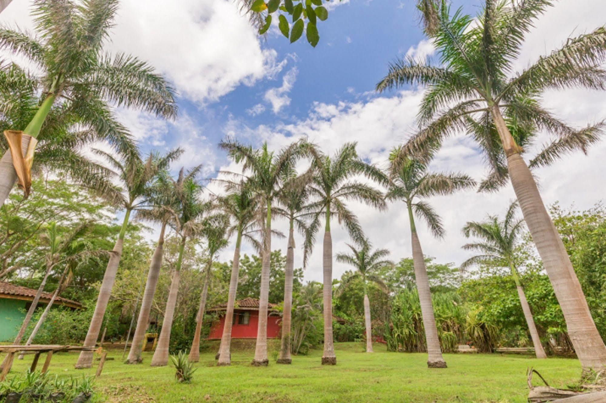 Hotel Mauna Loa Pinilla Exterior photo
